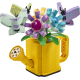 Flowers in Watering Can