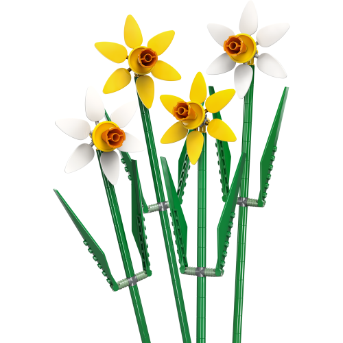 Daffodils