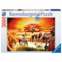 Ravensburger - Oceanic Wonders 3000pc