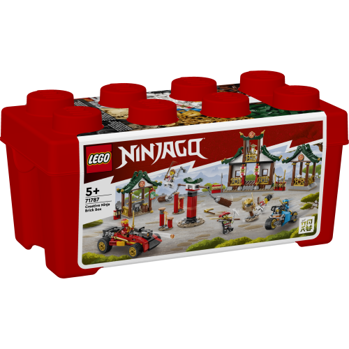 Creative Ninja Brick Box